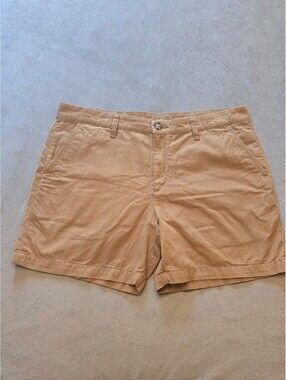 Chubbies Men’s All Days 100% Cotton Dark Brown Chino Short (36)